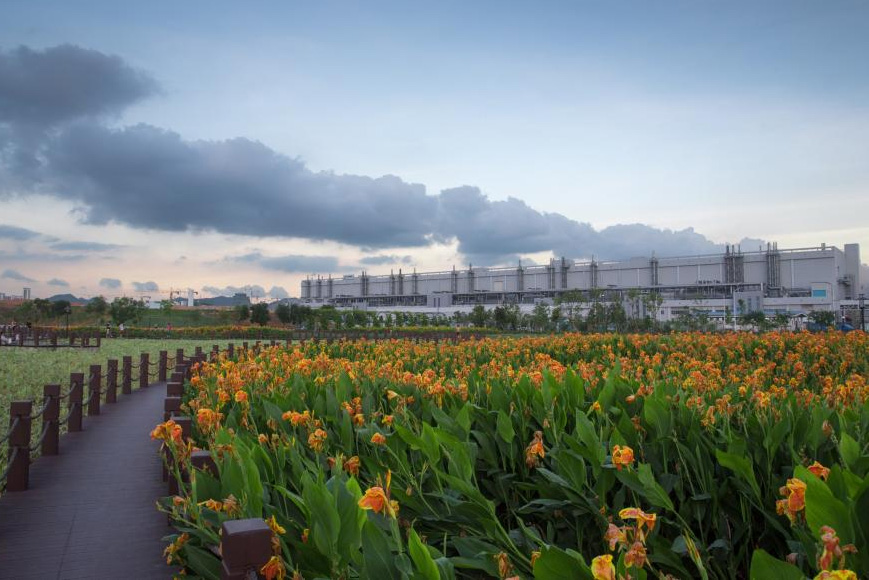 TCL CSOT Wetland Park